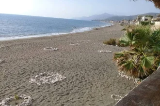 المحميات الطبيعية في سوريا جواهر الطبيعة الثمينة