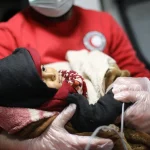 متطوع في الهلال الأحمر السوري يفوز بمسابقة أفضل صورة إنسانية