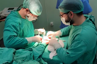 من ألمانيا إلى سوريا: «حملة شفاء» بقعة ضوء وسط الظلام