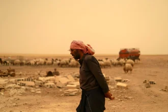 مزارعو الحسكة بين أرضٍ عطشى وأمل مفقود!