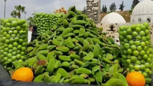 العوجا في دمشق