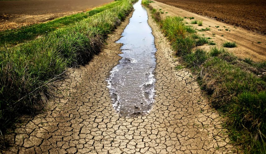 أزمة جفاف تهدد الأمن الغذائي في سوريا.. وخسائر القمح تصل إلى 75%