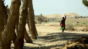 التصحر من آثار التغير المناخي في سوريا