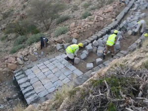برنامج تمكين في اليمن
